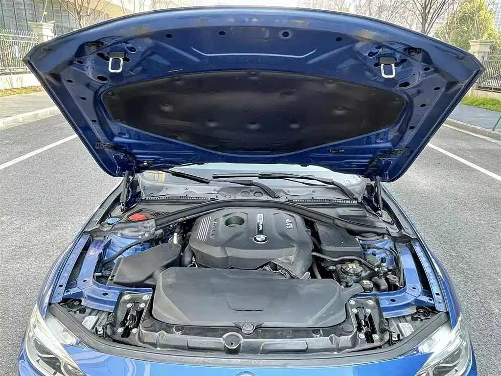 BMW 3 Series 2017 320Li M Sport фото 11
