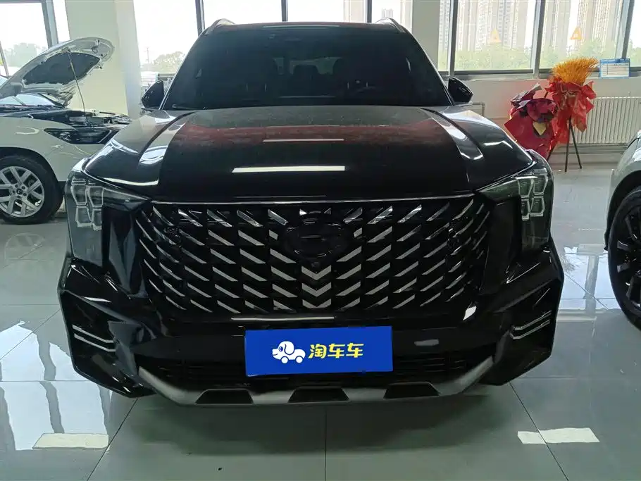GAC Trumpchi Trumpchi GS8 2024 Navigator Series 2.0TGDI 2WD Luxury Smart Connect Edition фото 2