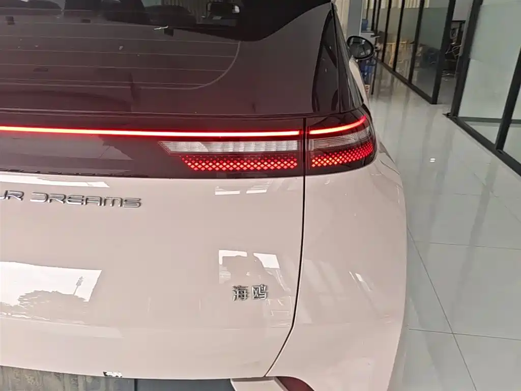 BYD Seagull 2024 Glory Edition 305km Freedom Edition фото 8