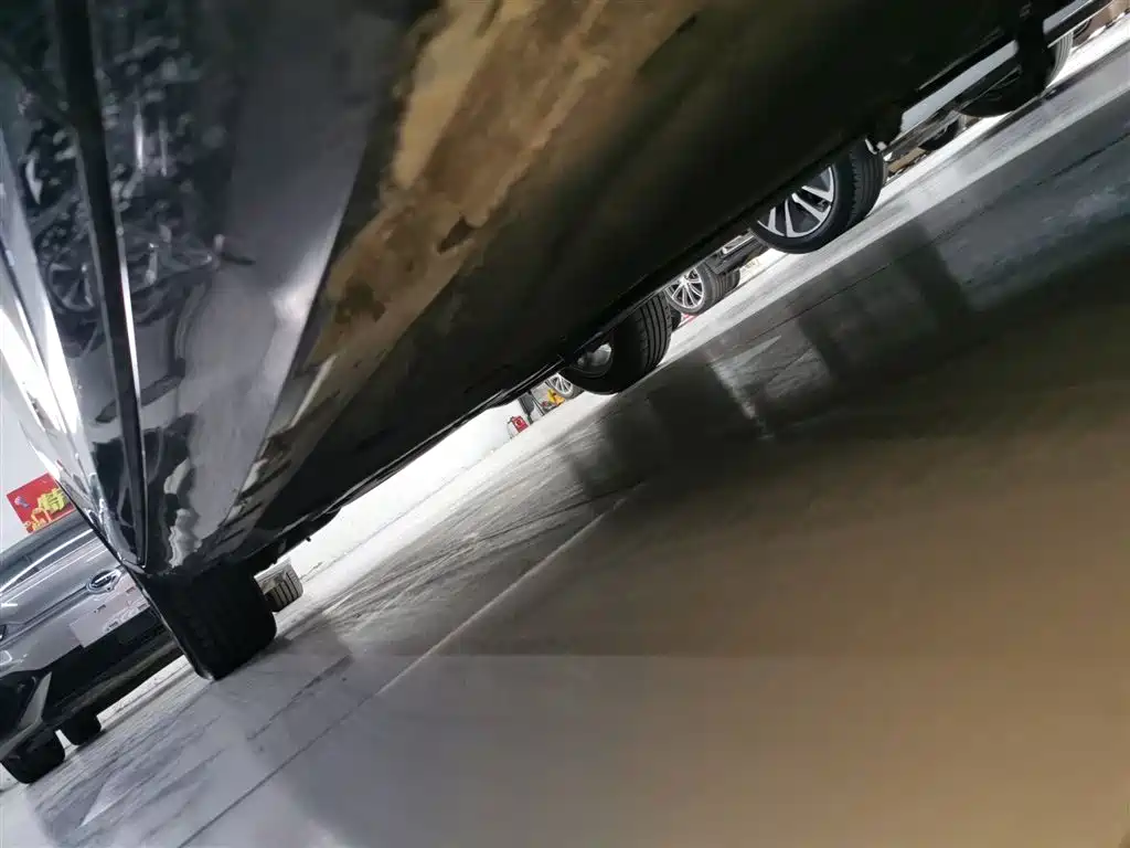 Volkswagen Magotan 2019 280TSI DSG Leading China V фото 19