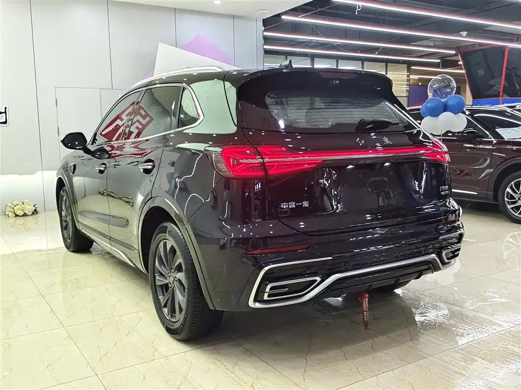 Hongqi HS5 2023 2.0T Flag Enjoy Pro Edition фото 6