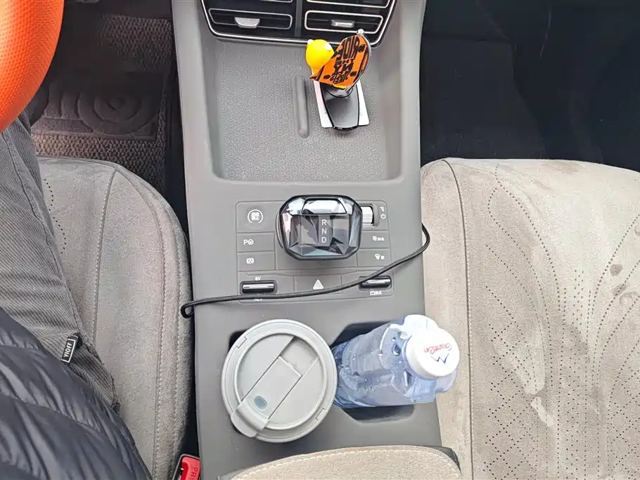 BYD SONGJIANG NEW ENERGY