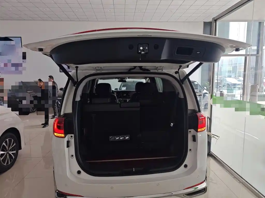 GAC Trumpchi Trumpchi M8 2021 Leading Show Series 390T Premium Edition фото 19