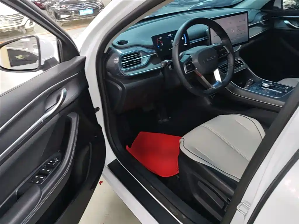 BYD Destroyer 05 2023 Model Champion Edition DM-i 120KM Luxury фото 12