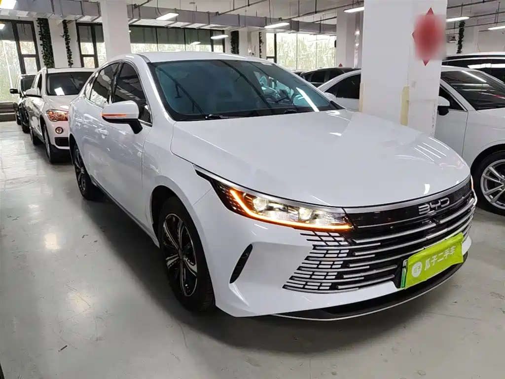 BYD Destroyer 05 2023 Model Champion Edition DM-i 120KM Luxury фото 22
