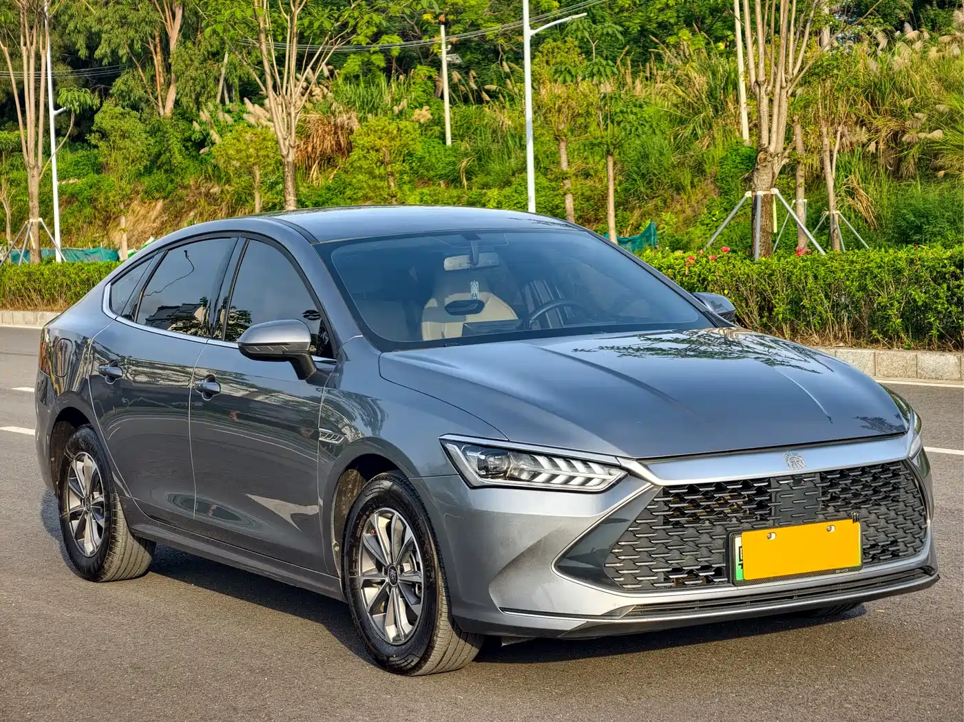 BYD Qin PLUS 2024 Glory Edition DM-i 55KM Leading фото 3