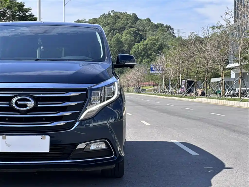 GAC Trumpchi Trumpchi M8 2019 320T Ultimate Edition фото 17
