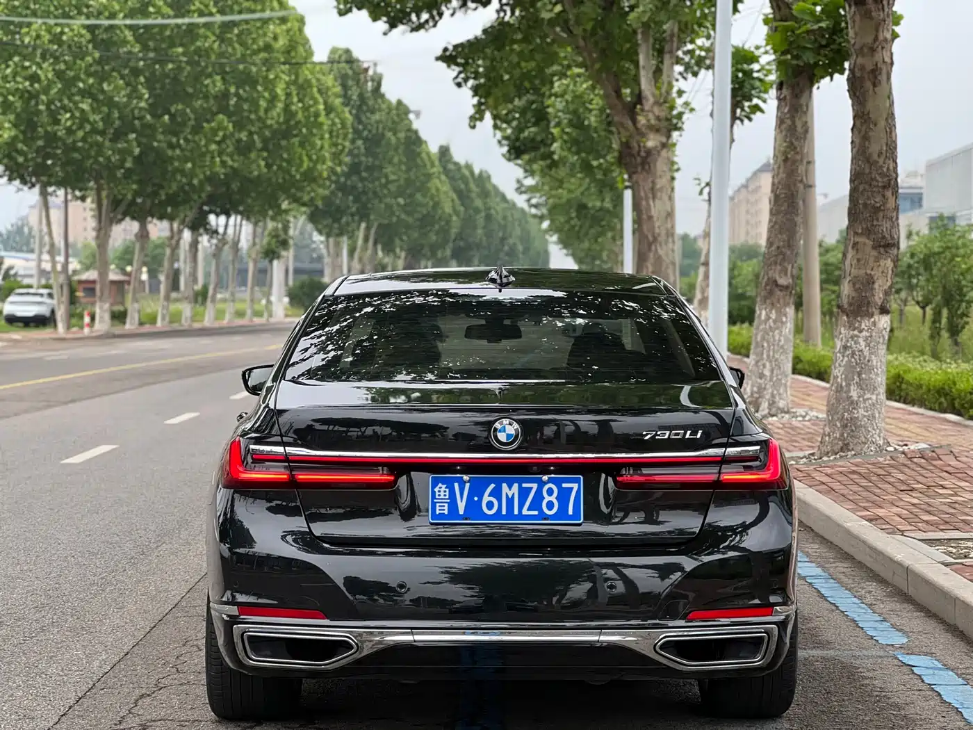 BMW 7 Series 2019 730Li Luxury Package фото 5
