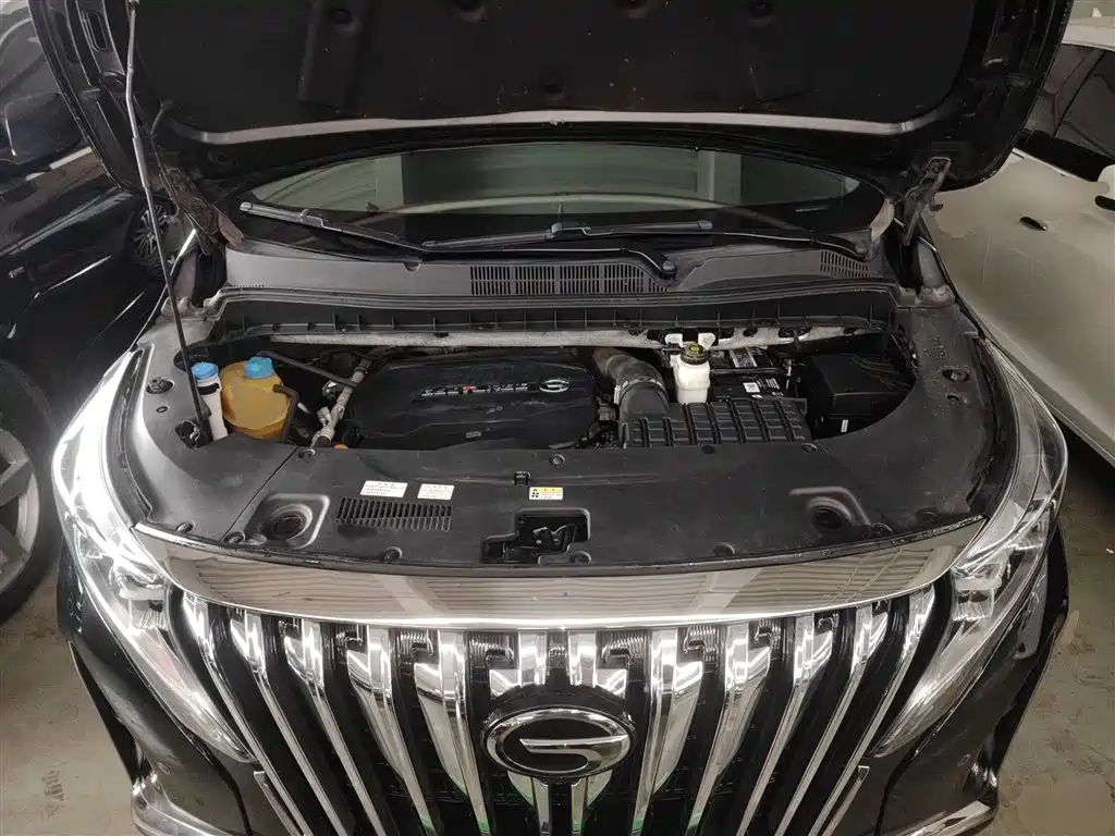 GAC Trumpchi Trumpchi M8 2021 Leading Series 390T Flagship фото 20