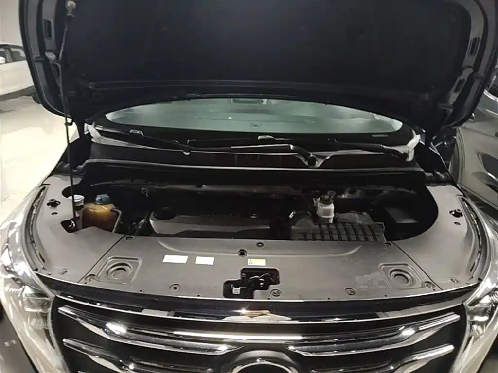 GAC Trumpchi Trumpchi M8 2018 320T Premium Edition фото 20