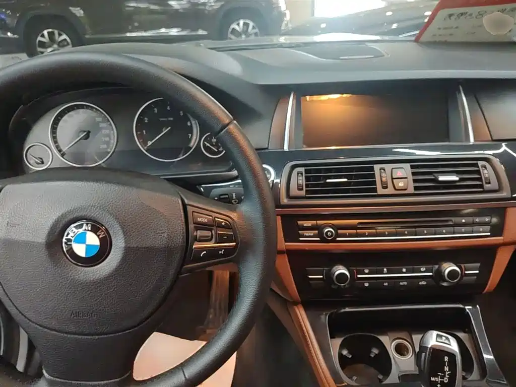BMW 5 Series (Import) 2015 520i Elegance фото 10