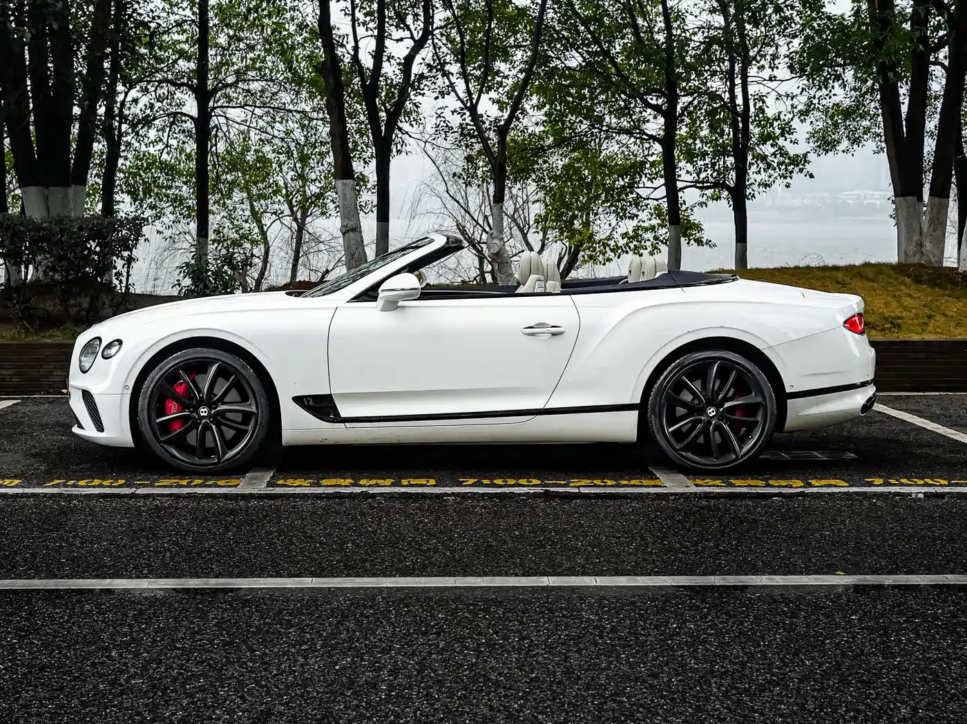 Bentley Continental 2019 6.0T GT W12 Convertible фото 5