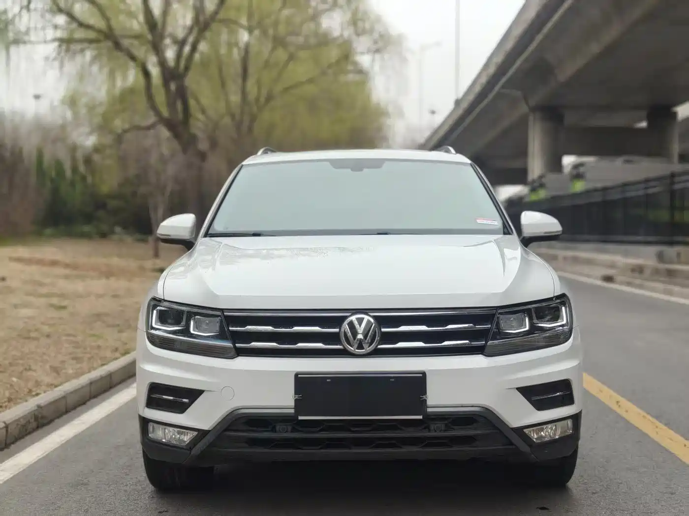 Volkswagen Tiguan L 2020 330TSI Auto 2WD Smart Luxury China VI фото 2