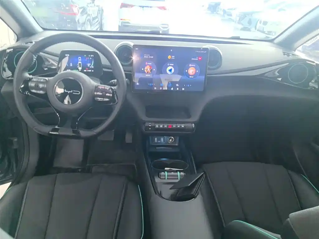 BYD Dolphin 2023 401km Knight Edition фото 6
