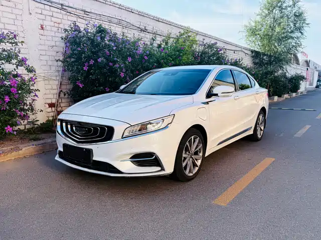  Geely Borui PHEV 2020 1.5T PHEV Leading Edition