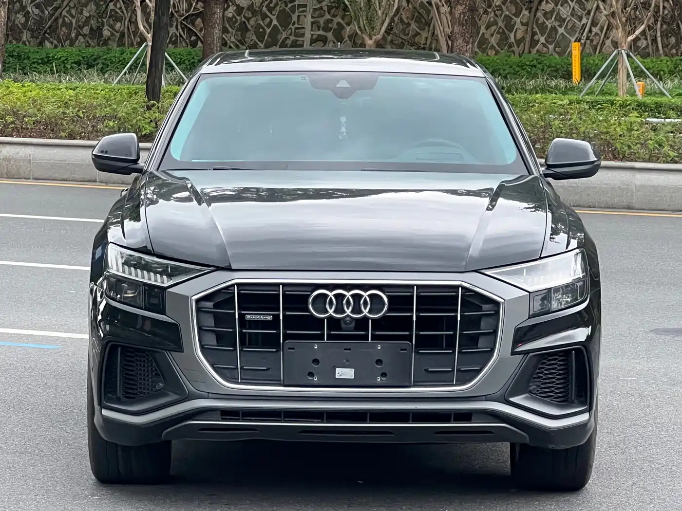 Audi Q8 2023 2022 55 TFSI Luxury Dynamic