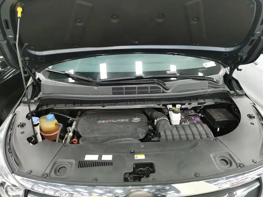 GAC Trumpchi Trumpchi M8 2020 Pilot 390T Premium Edition фото 16