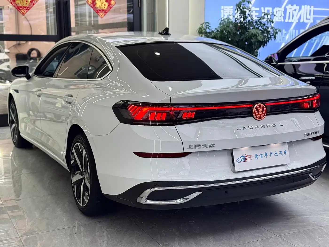 Volkswagen Lamando, миниатюра 8