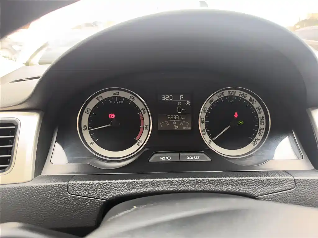 Škoda Rapid 2019 1.5L Automatic Comfort China V фото 12