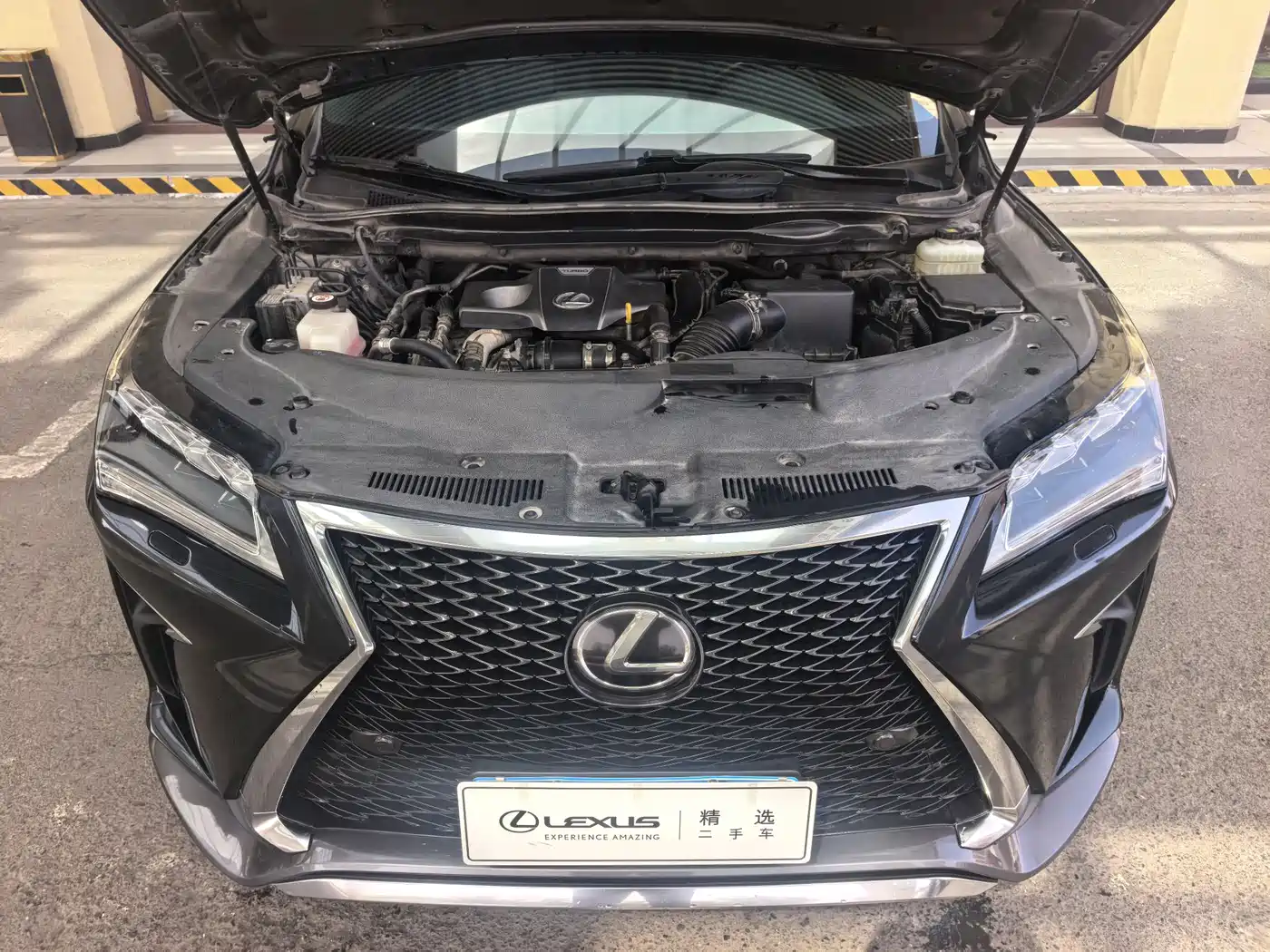 Lexus RX 2016 300 AWD F SPORT Edition China V фото 7