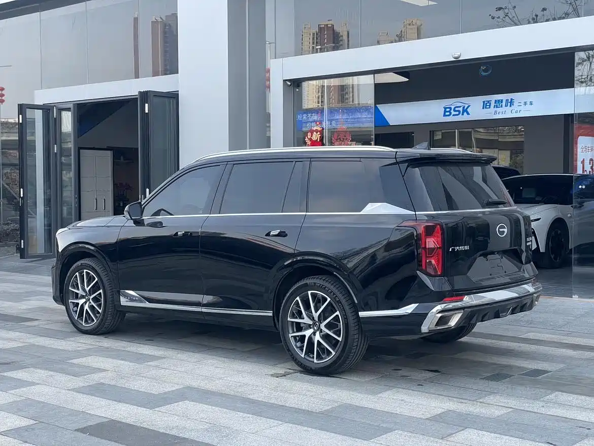 GAC Trumpchi Trumpchi GS8 2024 Dual Engine Series 2.0TM 2WD Premium Edition фото 3