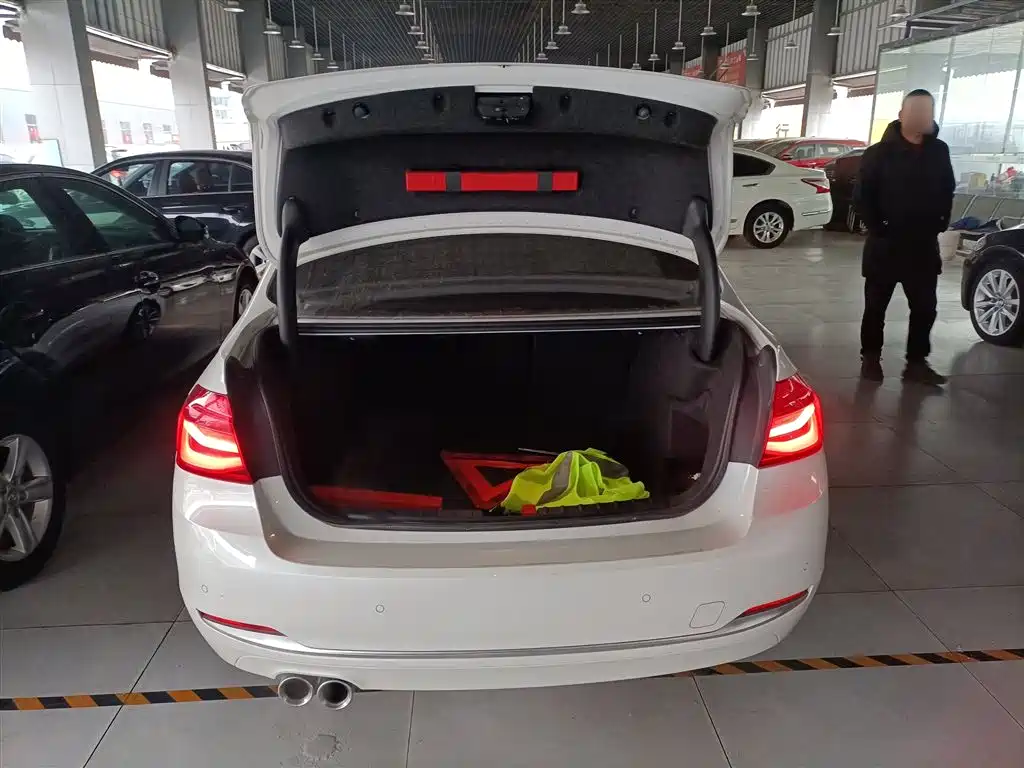 BMW 3 Series 2019 320Li Fashion Type фото 19