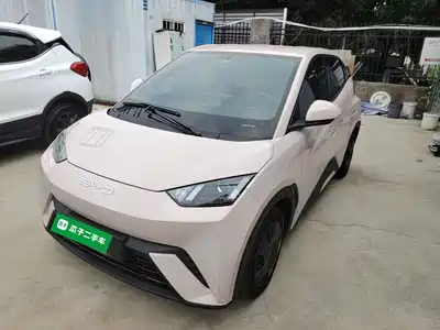 BYD Seagull