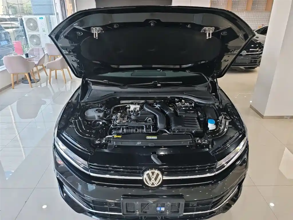 Volkswagen Magotan 2024 300TSI DSG Premium Edition (Eye-catching Package) фото 20
