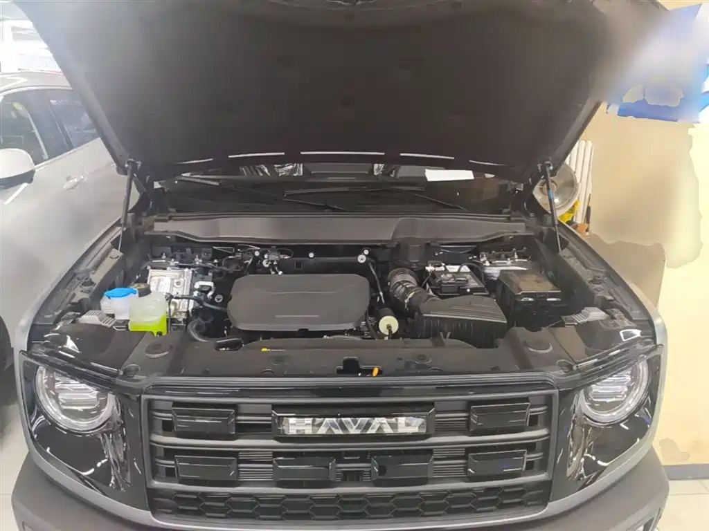 Haval Big Dog 2026 Model 1.5T High Configuration фото 20