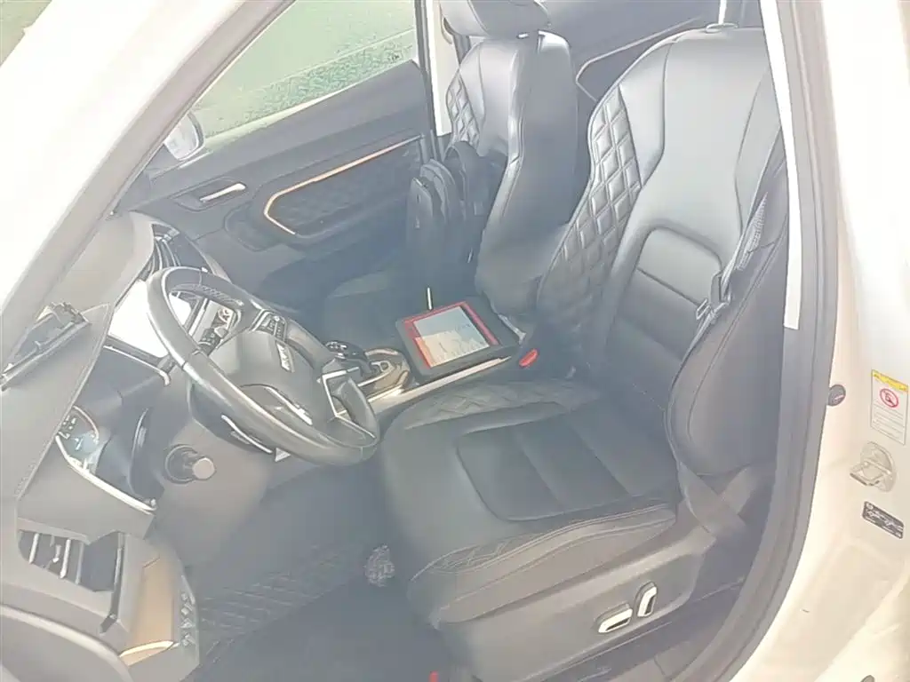 Haval H6 2020 1.5GDIT Automatic Platinum Luxury Edition фото 15