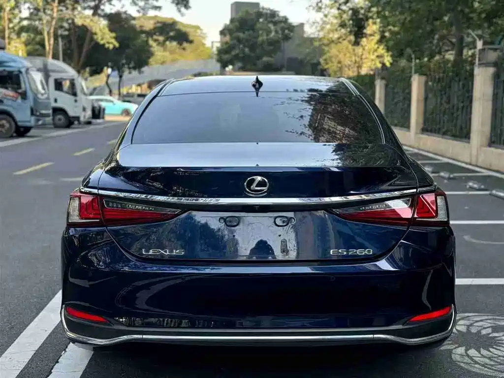 Lexus ES 2021 200 Excellence Edition фото 7