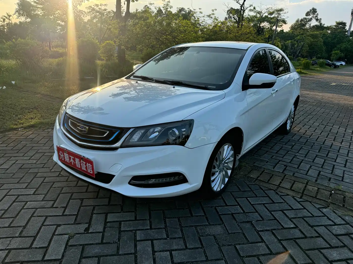 Geely Emgrand New Energy 2018 2017 EV300 Elite