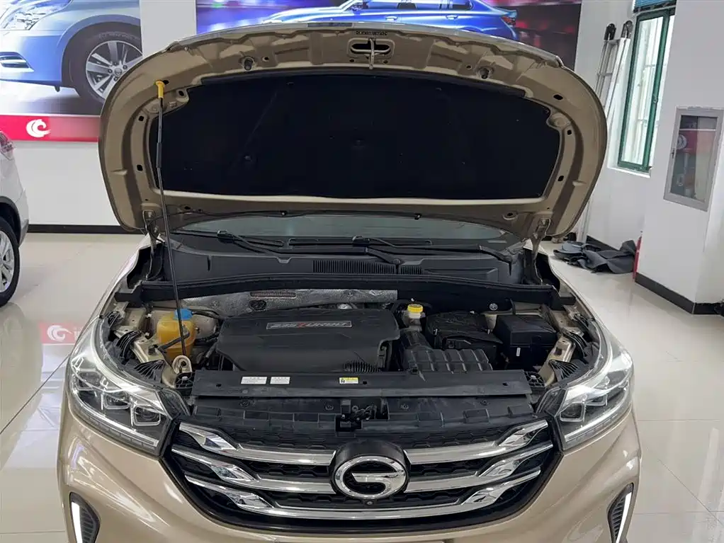 GAC Trumpchi Trumpchi GS4 2018 235T Auto 2WD Supreme Edition фото 23