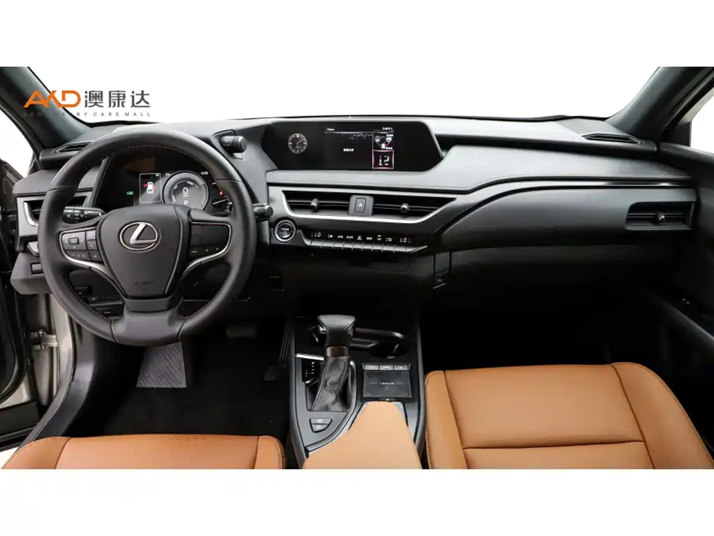 Lexus UX 2020 260h Explore Fun Edition фото 5