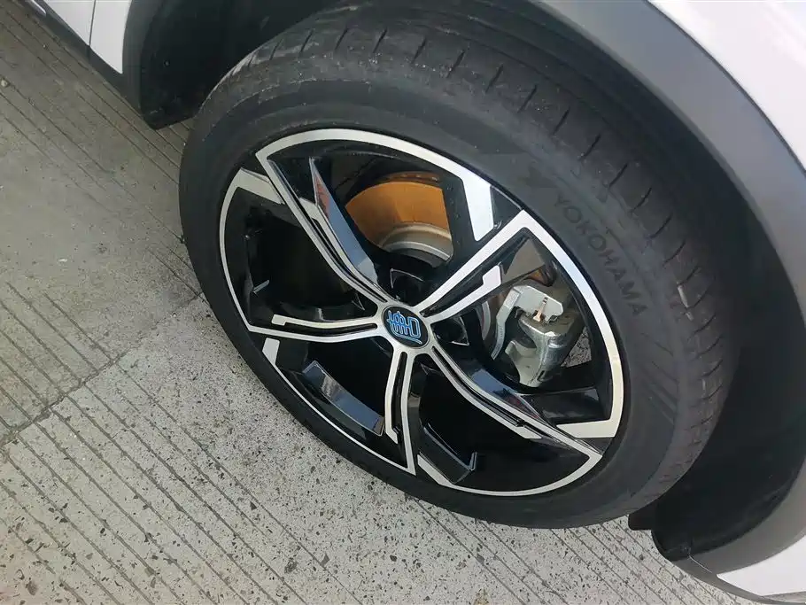 BYD Tang New Energy 2021 DM-i 112KM Honor фото 6