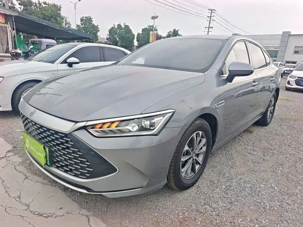 BYD Qin PLUS 2024 Glory Edition DM-i 55KM Leading
