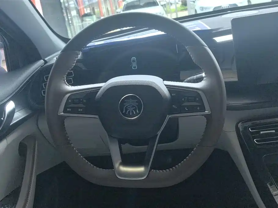 BYD Qin PLUS 2024 Glory Edition DM-i 55KM Leading фото 15