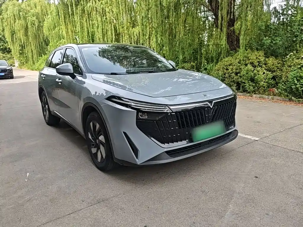 Venucia DaV DD-i 2023 2023 110km iE Edition