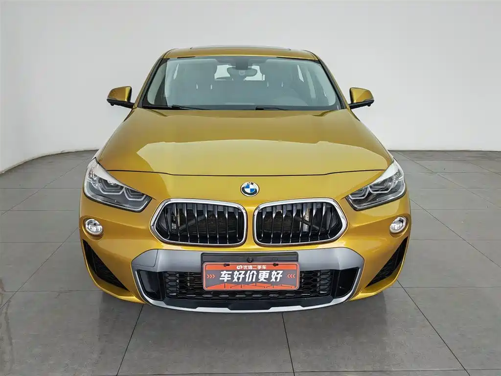 BMW X2 (Import) 2019 sDrive20i M Off-Road Package China VI фото 3