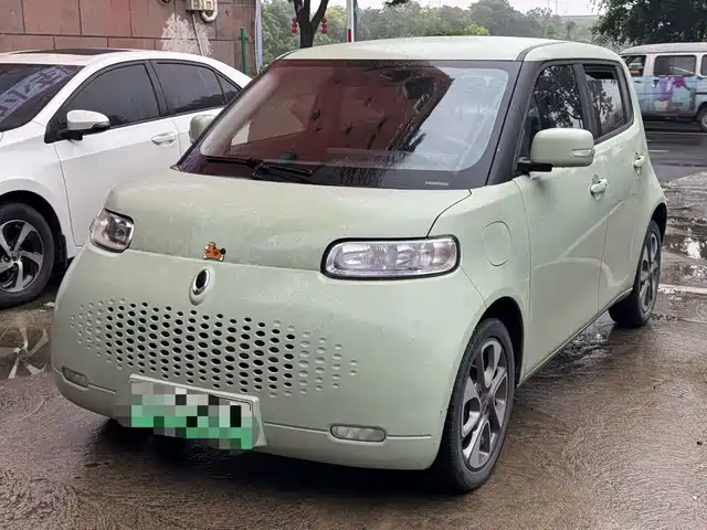  Ora Ora White Cat 2020 360km Luxury Model