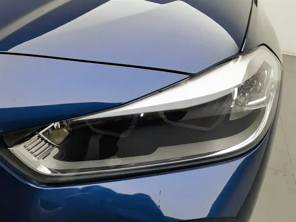 BMW X2 (Import) 2019 sDrive20i M Off-Road Package China VI фото 7