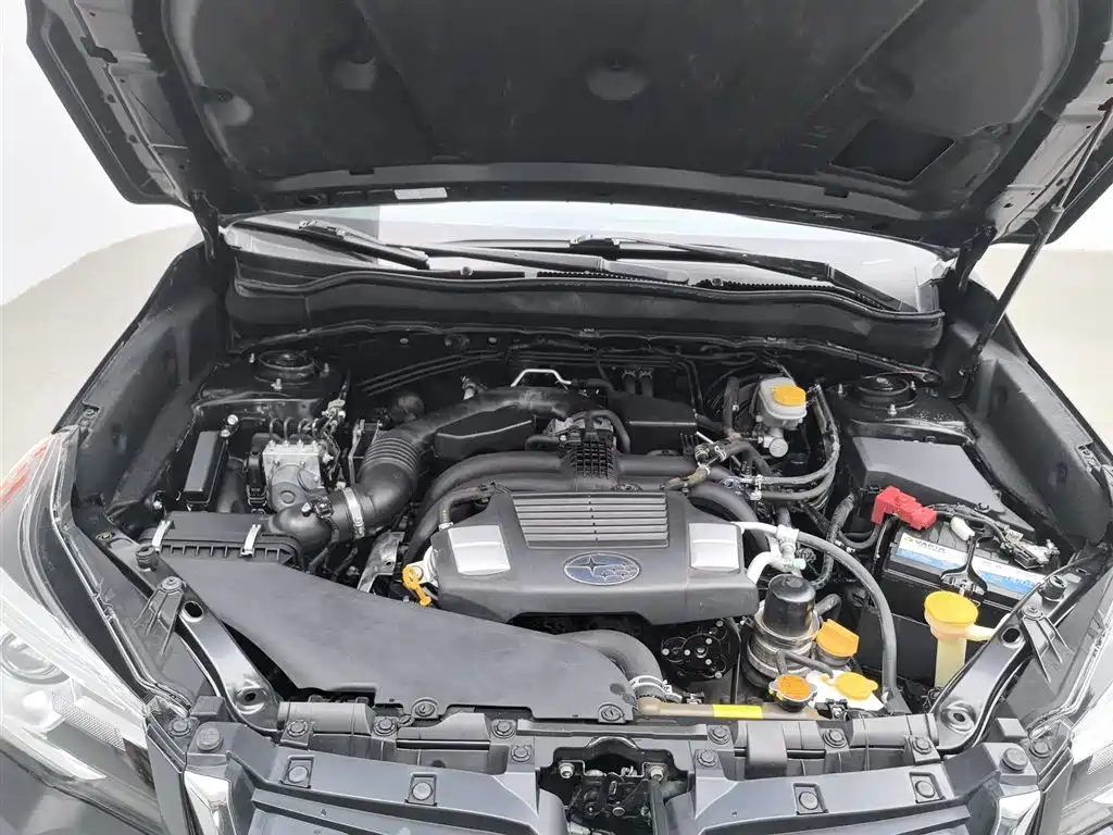 Subaru Forester 2016 2.5i Luxury Navigation Edition фото 6