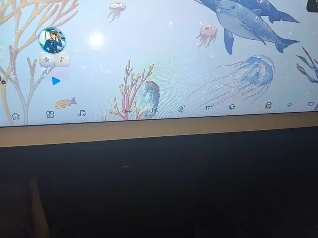 ARCFOX Koala 2024 2023 Family Edition Pro