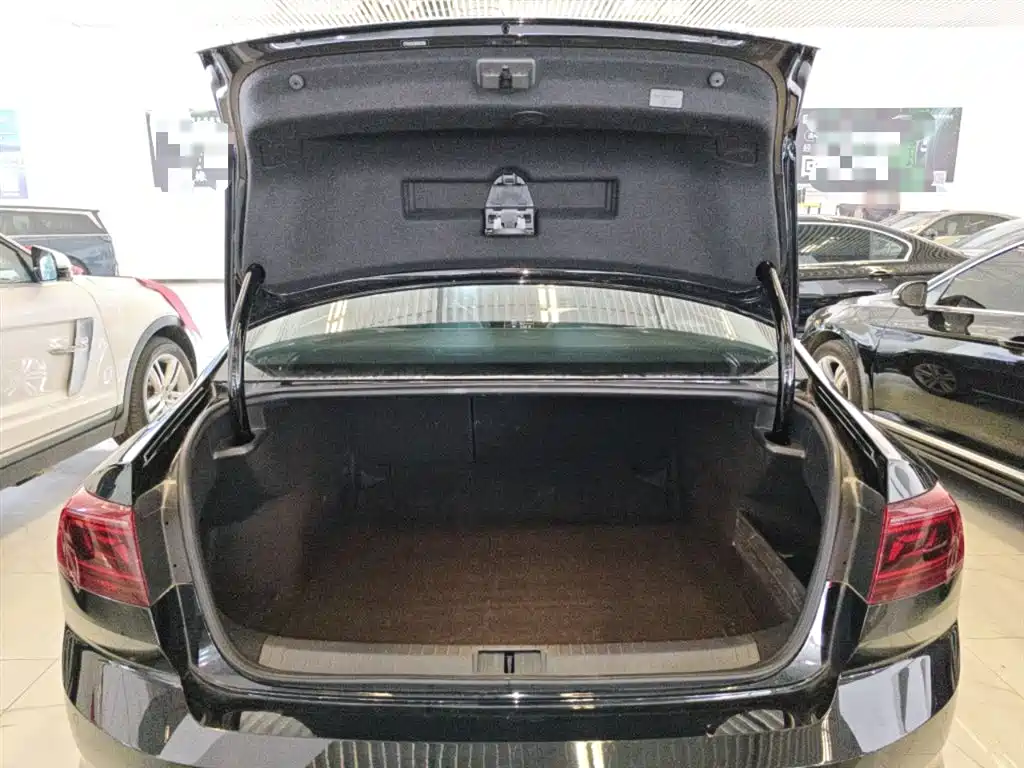 Volkswagen Magotan 2025 Popular Edition 280TSI DSG Comfort фото 15