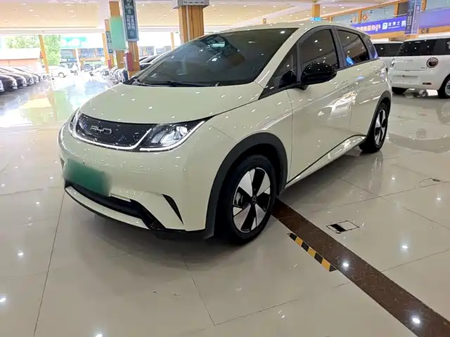 BYD Dolphin 420km, Свобода