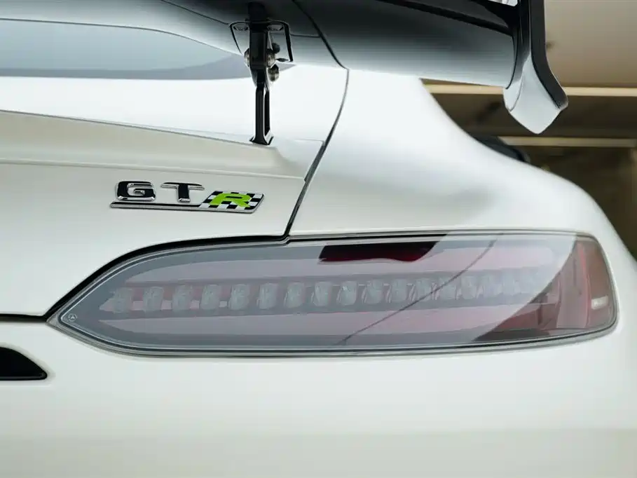 Mercedes-Benz AMG GT 2019 AMG GT R PRO фото 12