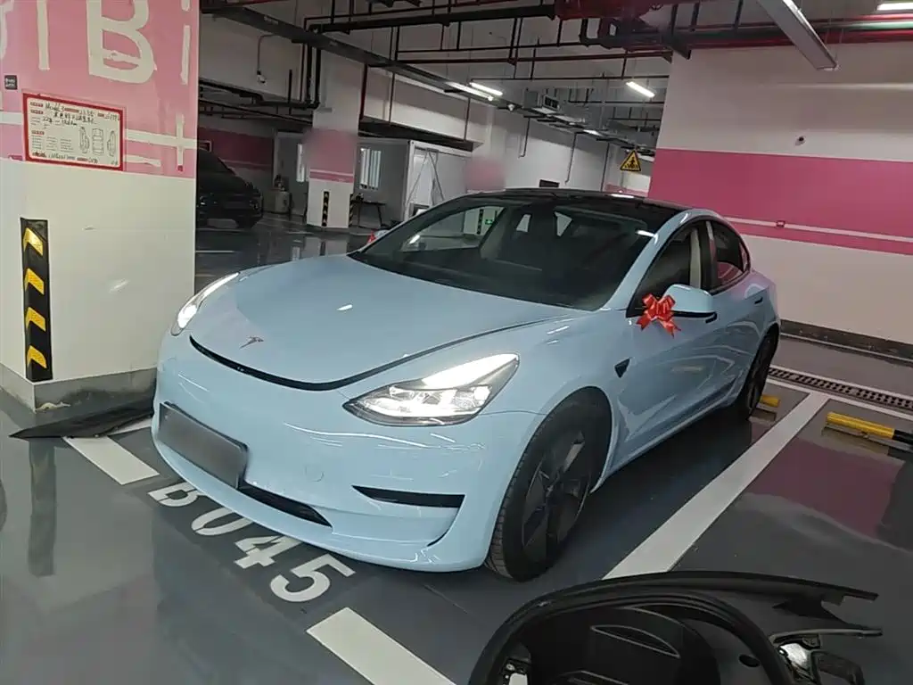 Tesla Model 3 2022 Model Rear-Wheel Drive Version