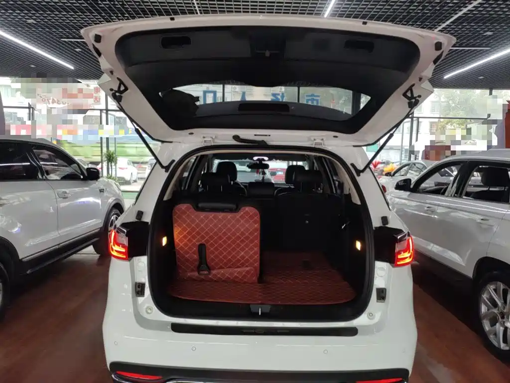 BYD Song MAX 2019 1.5T Auto Smart Connected Sunroof 7-seater China VI фото 15