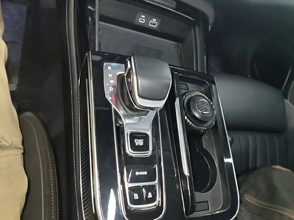 Hongqi H9 2025 2024 2.0T Qi Enjoy Private Fashion Edition