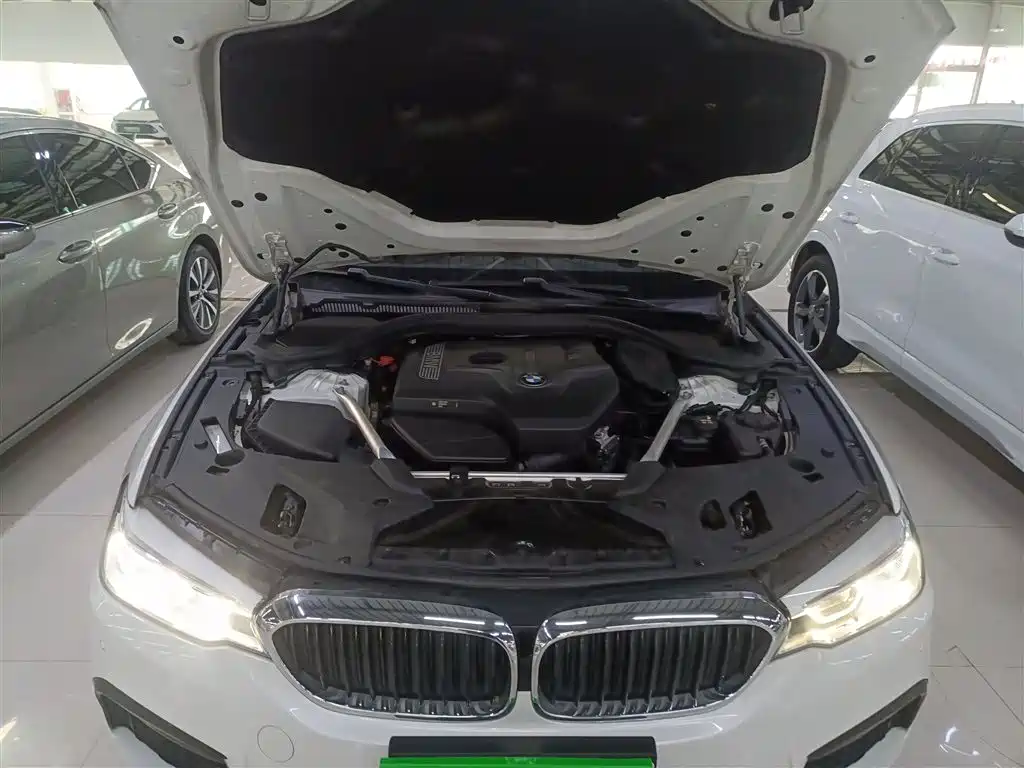 BMW 5 Series 2018 Facelift 530Li Leading M Sport Package фото 19